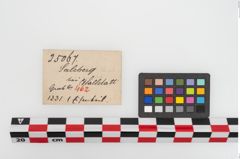 Etiketten zu Eisenärmchenbeil (NHMW-PRAE-025067)